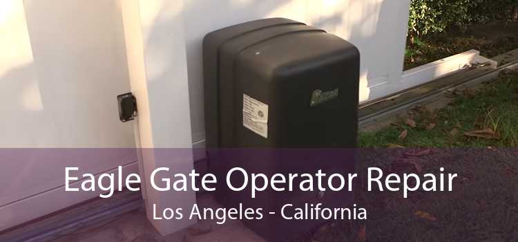 Eagle Gate Operator Repair Los Angeles - California