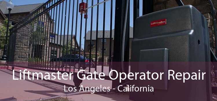 Liftmaster Gate Operator Repair Los Angeles - California